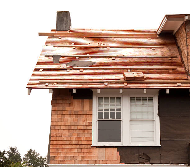 Affordable Siding Repair and Maintenance Services in Eloy, AZ